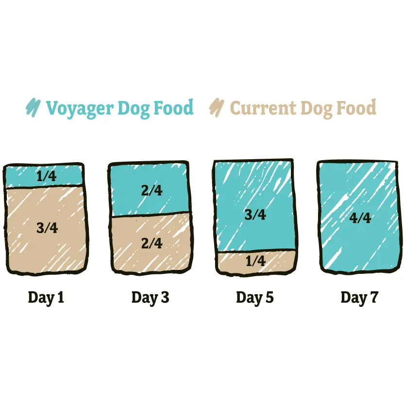 Three Bag Challenge Diagram