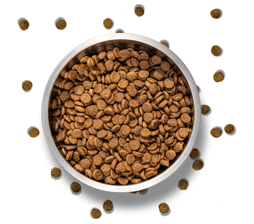 Food Bowl Floating with Kibble