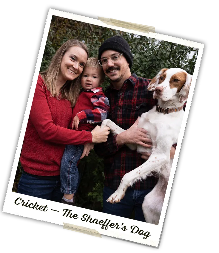 Cricket - The Shaeffer's Dog