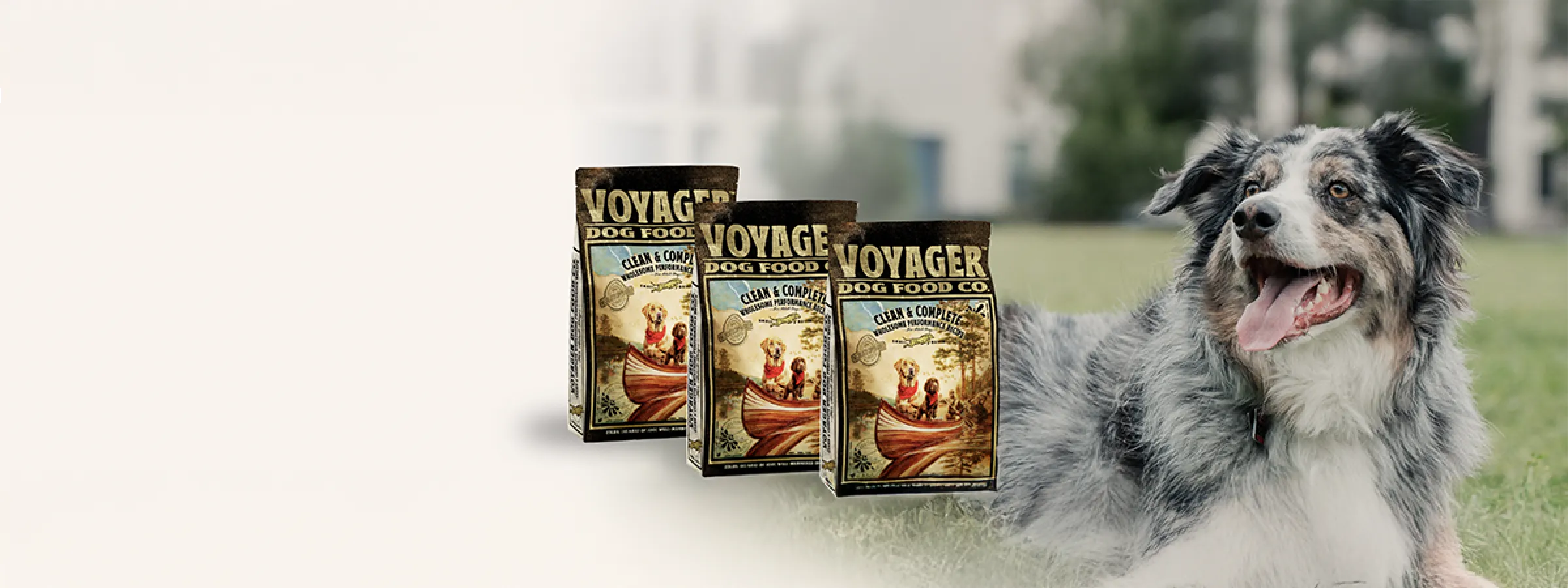 three-bag-challenge-banner
